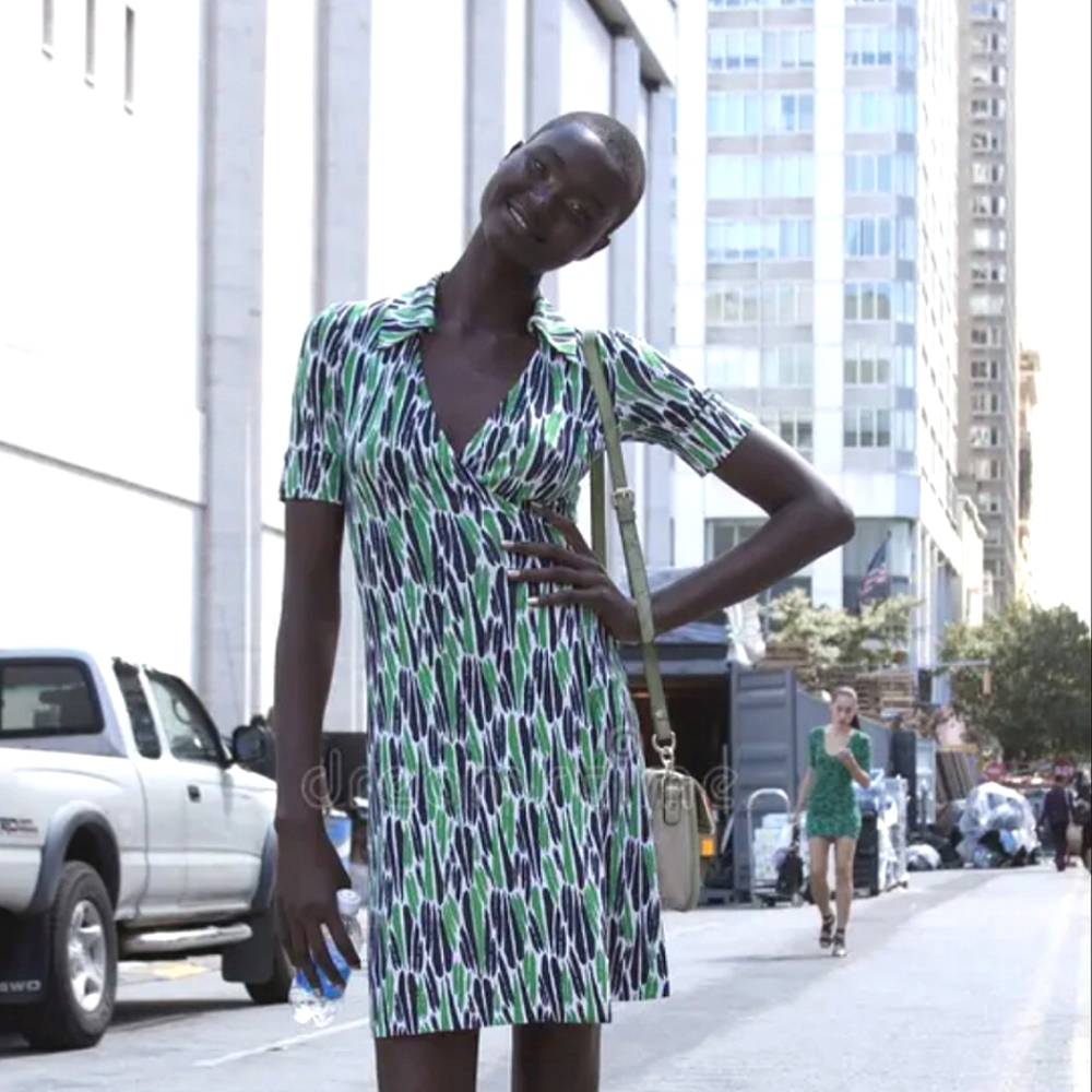 Diane Von Furstenberg Silk Jillia Wrap Dress Size 4 Green Black White DVF Dress - Picture 2 of 10
